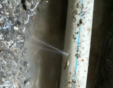 川汇测漏水哪家好